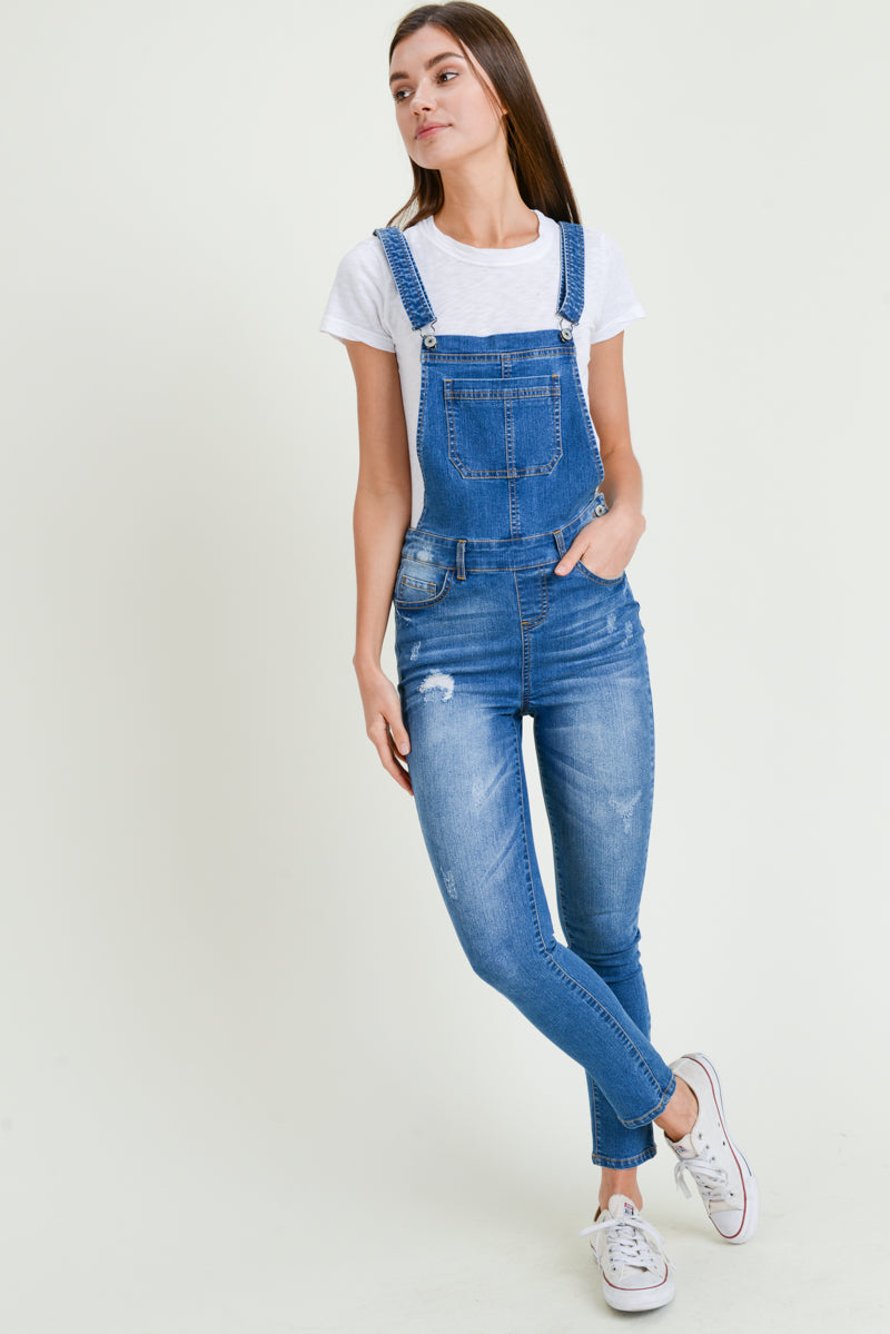 Destroy Denim Bibs