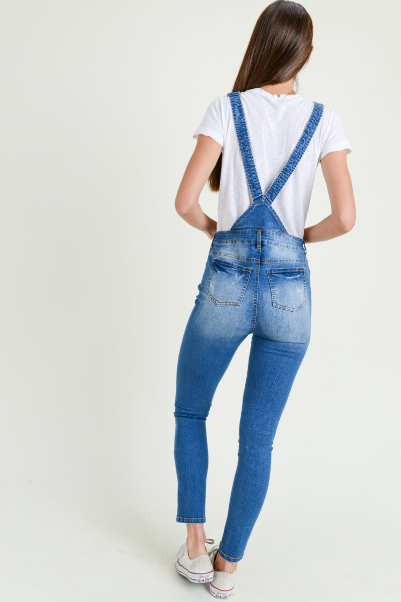 Destroy Denim Bibs