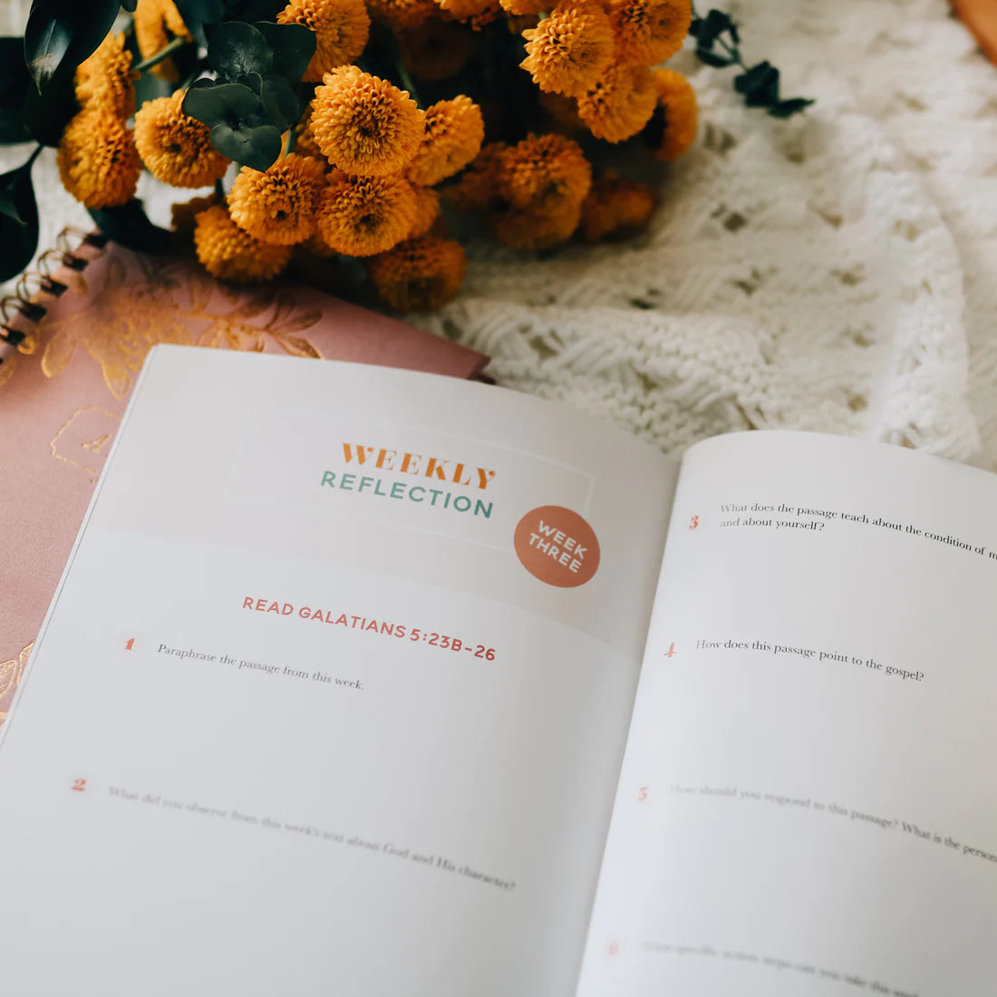 The Fruit Of The Spirit Bible Study