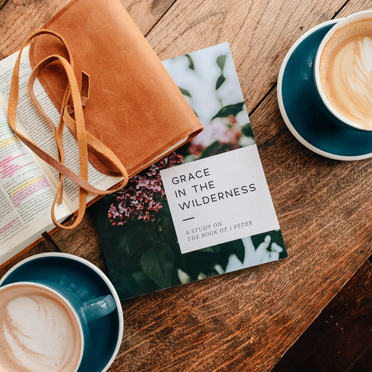 Grace in the Wilderness- 1 Peter Bible Study