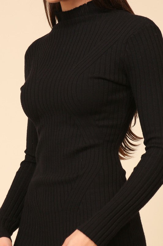 Fitted Turtleneck Sweater Dress