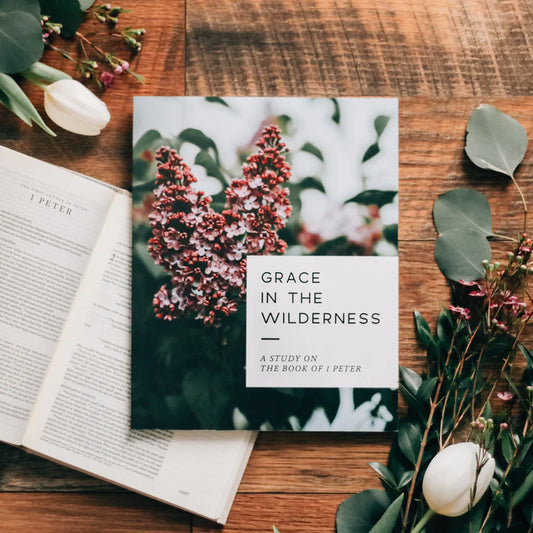 Grace in the Wilderness- 1 Peter Bible Study